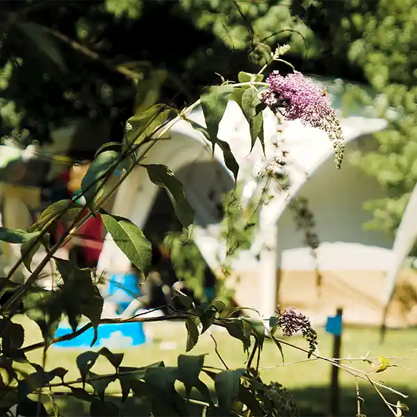 emplacement tente camping vallée de la Cèze