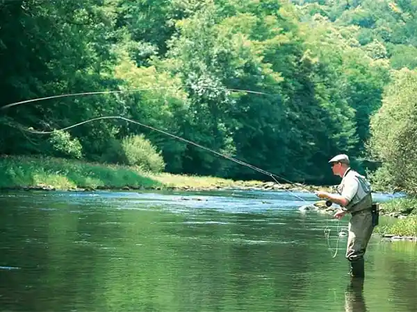 pêche rivière de la Cèze